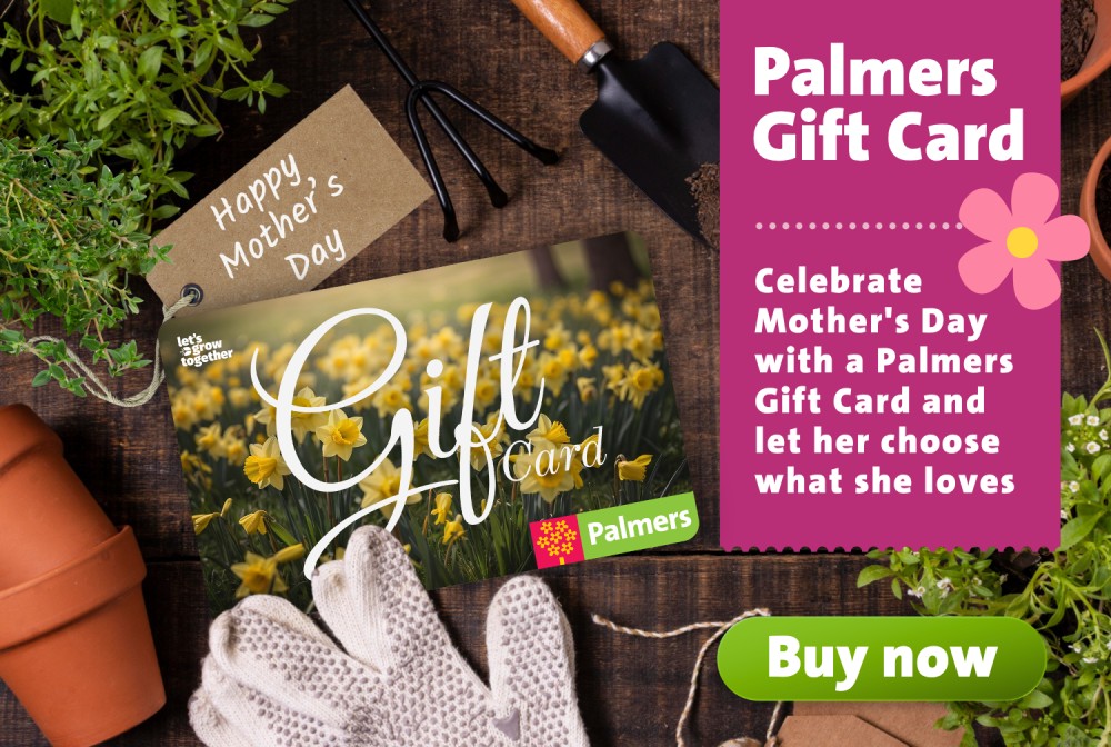 Mother's Day Gift Card (1)